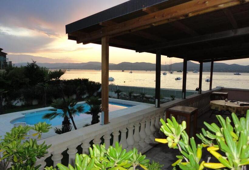 풀장 전망 디럭스 룸, Villa Playa Del Sol   B2