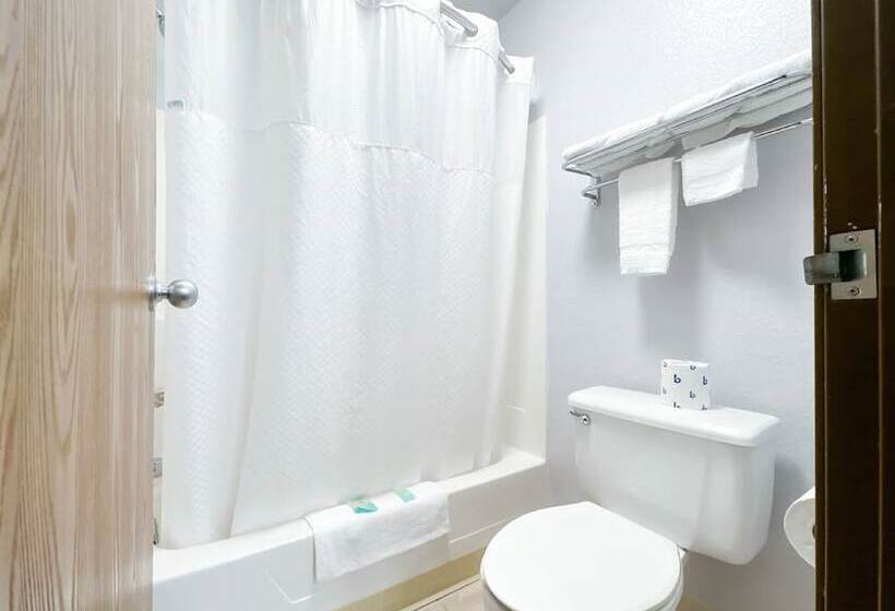 Номер Стандарт 2 Двуспальные Кровати, America S Quality Inn & Suites  Finlayson