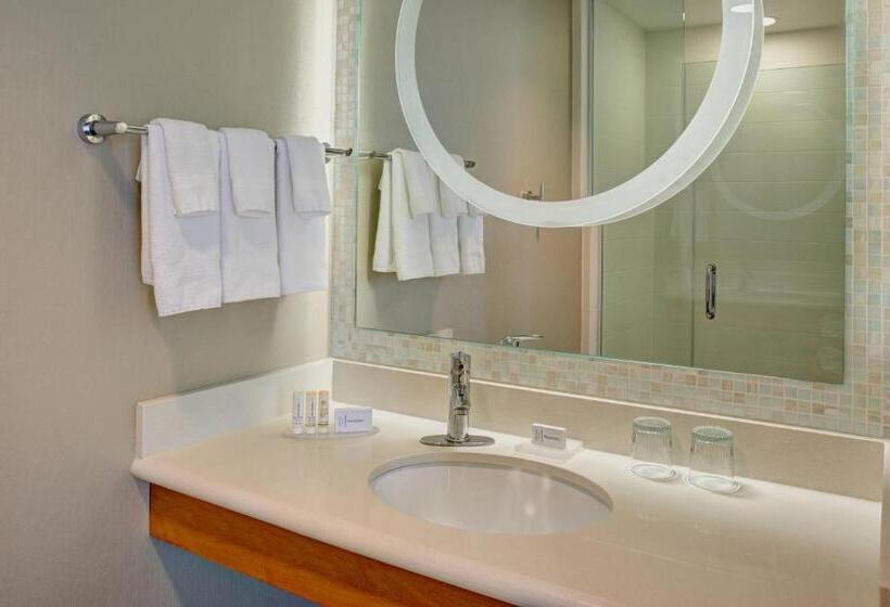 Студия Стандарт, Springhill Suites By Marriott Saginaw