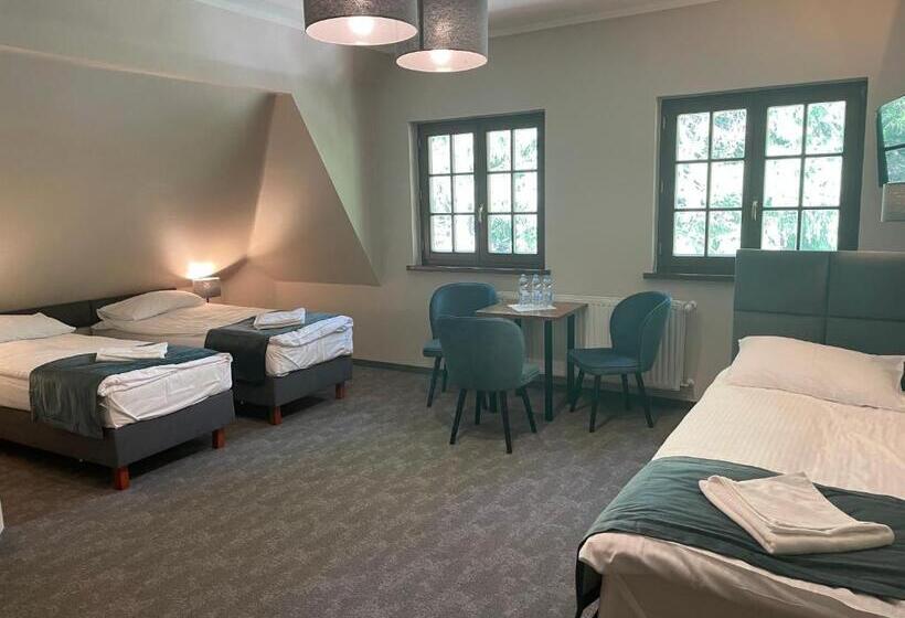 Номер Стандарт Трехместный, Apollo & Spa Karpacz