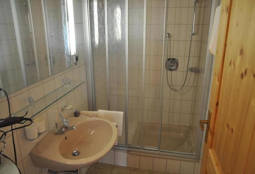 Номер Стандарт Индивидуальный, Aktiv Hotel Traube