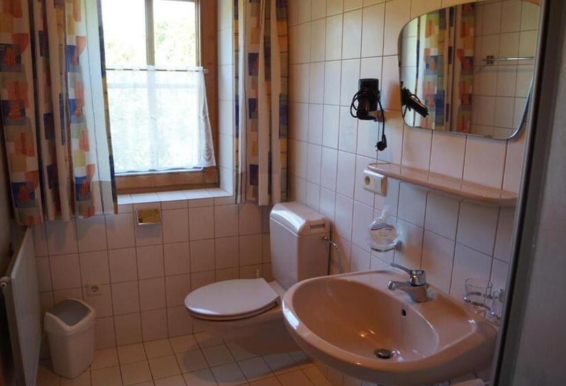 Апартаменты 1 Спальня с Балконом, Böglhof