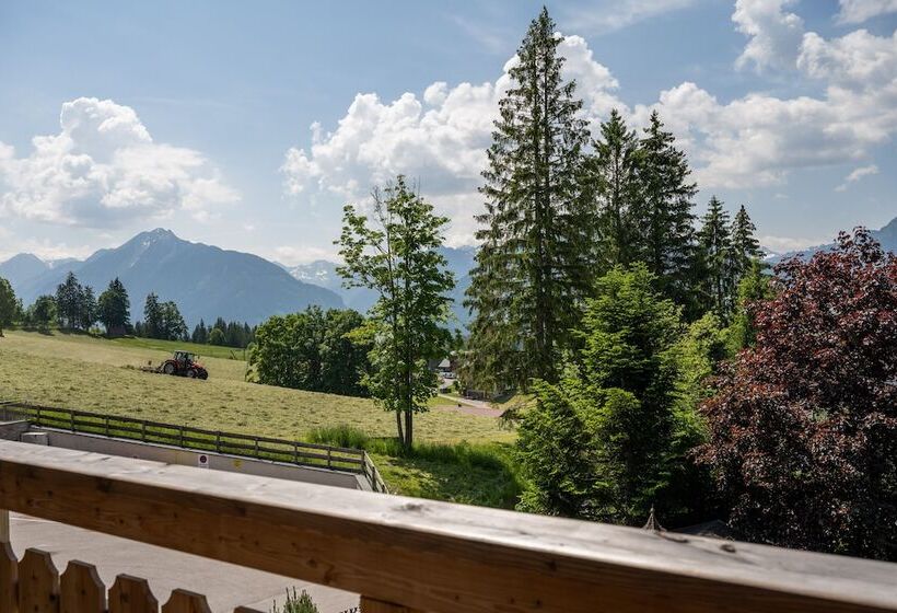Апартаменты Deluxe 1 Спальня, Alpin Residenz Dachsteinperle