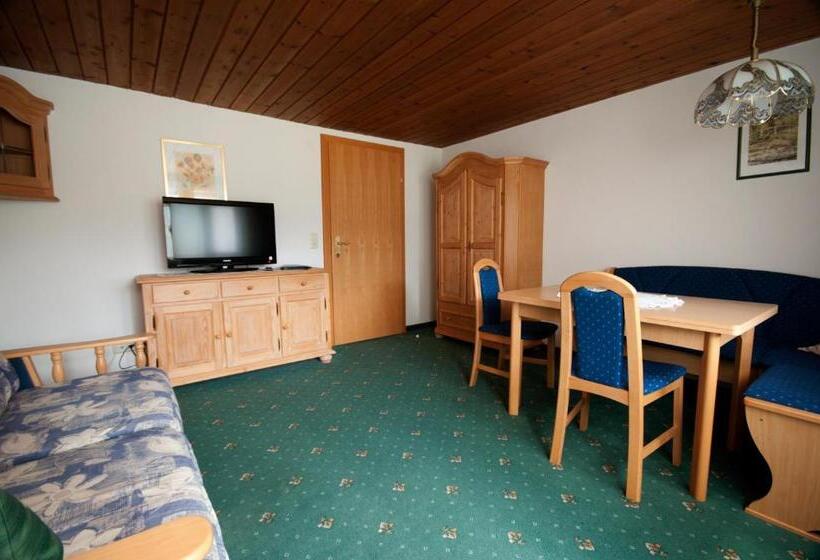 Апартаменты 1 Спальня, Pension Arnspitze
