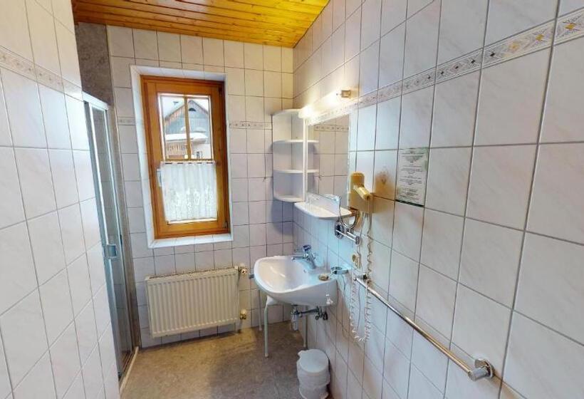 Апартаменты 1 Спальня с Видом, Berghotel Presslauer