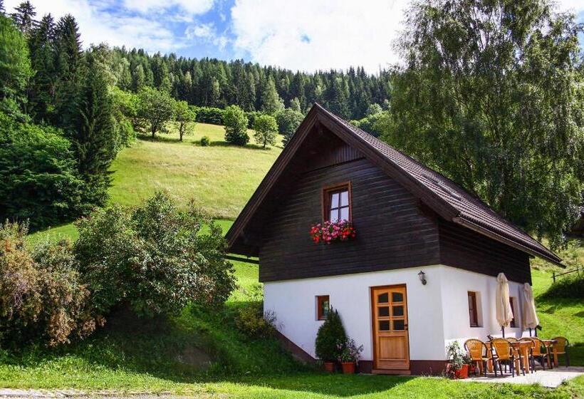 Апартаменты 1 Спальня Нижний Этаж, Bodnerhof