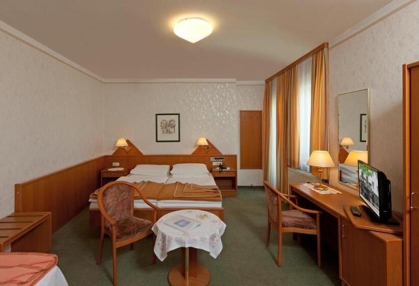 Номер Стандарт, Hallerhof
