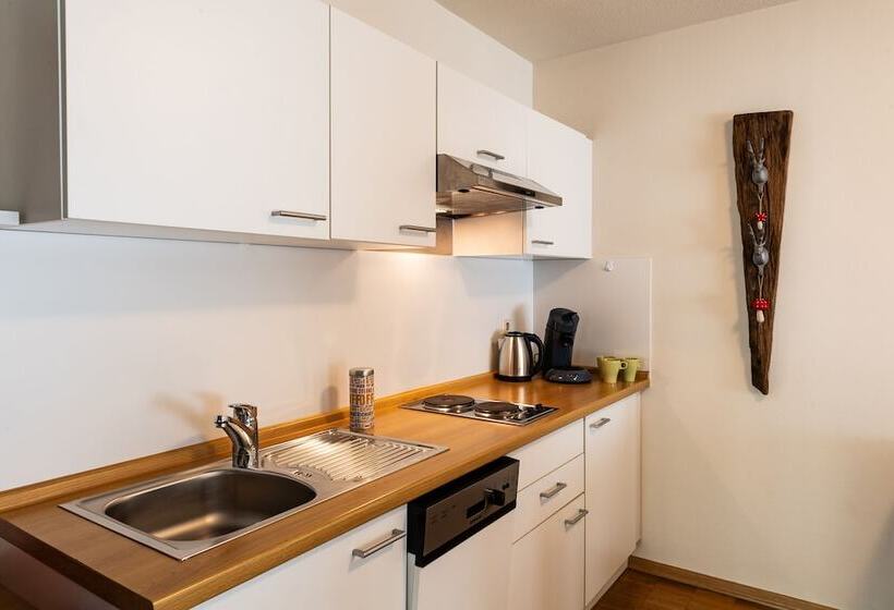 Апартаменты 3 Спальни, Apparthotel Steiger Bad Schandau