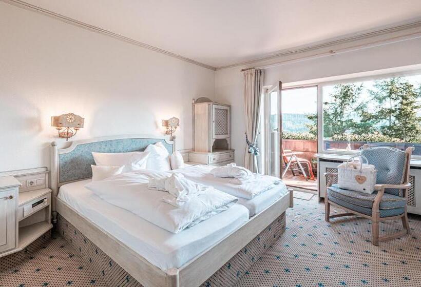 Номер Стандарт Вид на Горы, Mittelburg Wellness