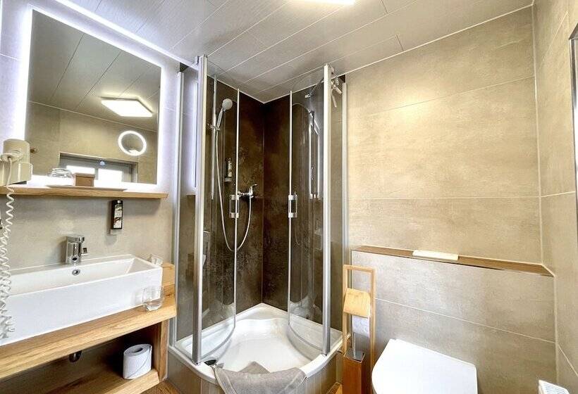 Номер Стандарт Индивидуальный, Naturhotel Gasthof Bärenfels
