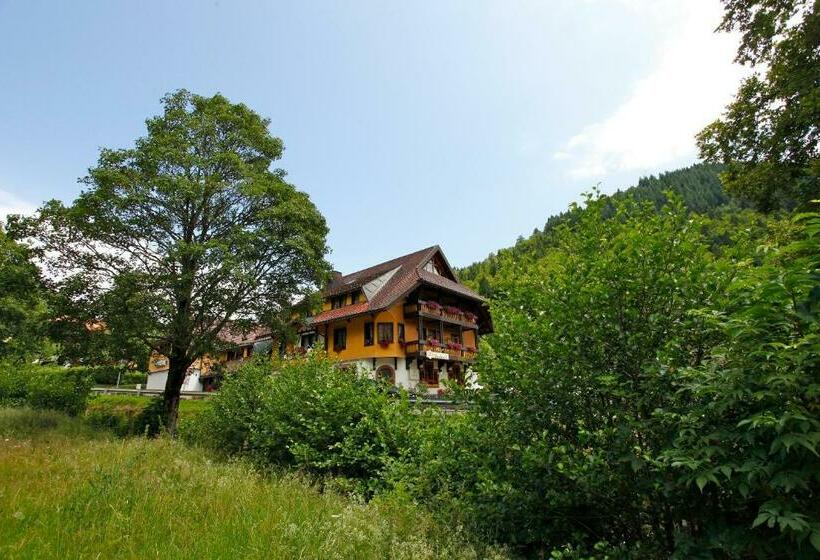 Номер Стандарт Индивидуальный, Gasthaus Hirschen
