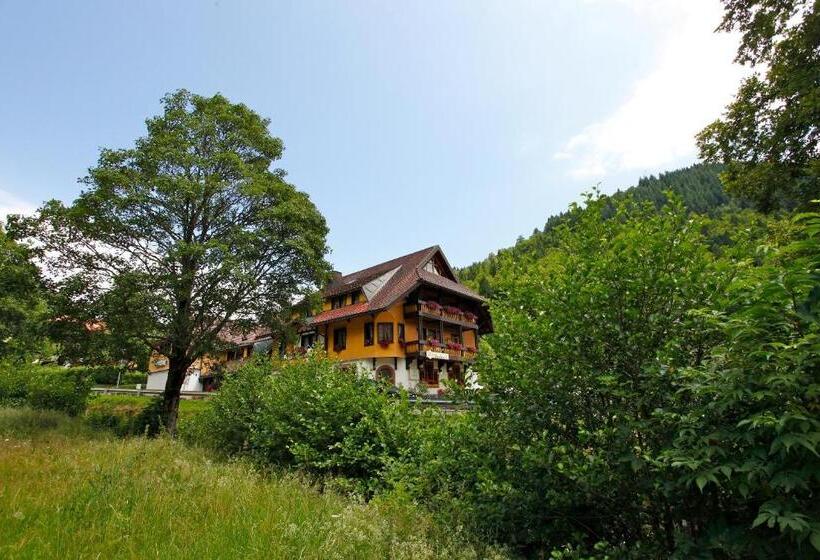 Номер Стандарт с Балконом, Gasthaus Hirschen