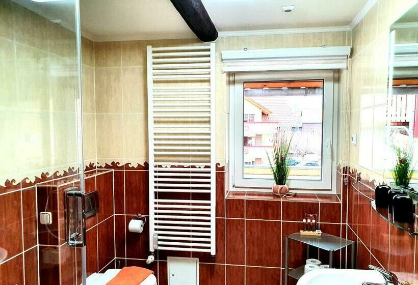 스탠다드 싱글 룸, Apart Hotel Wernigerode