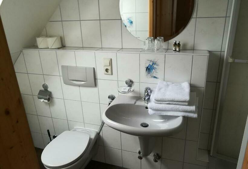 Номер Стандарт с Балконом, Schwarzwaldgasthaus Salenhof