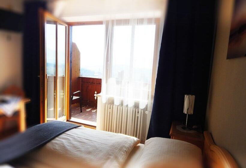 Номер Стандарт Вид на Озеро, Berg Hotel Weingarten Garni