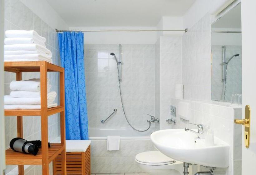 Апартаменты 1 Спальня, Aparthotel Am Zwinger