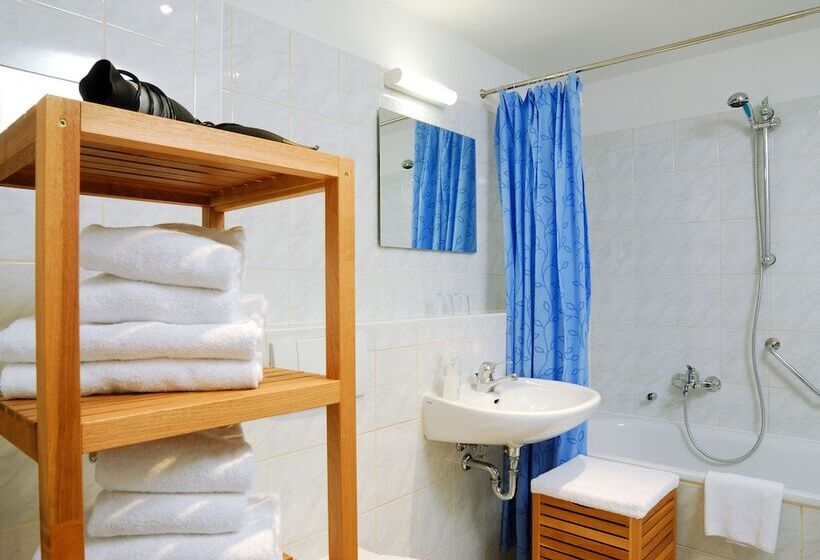 Апартаменты 1 Спальня, Aparthotel Am Zwinger