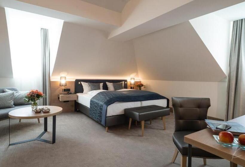 舒适型房间, Romantik Hotel Villa Sayn