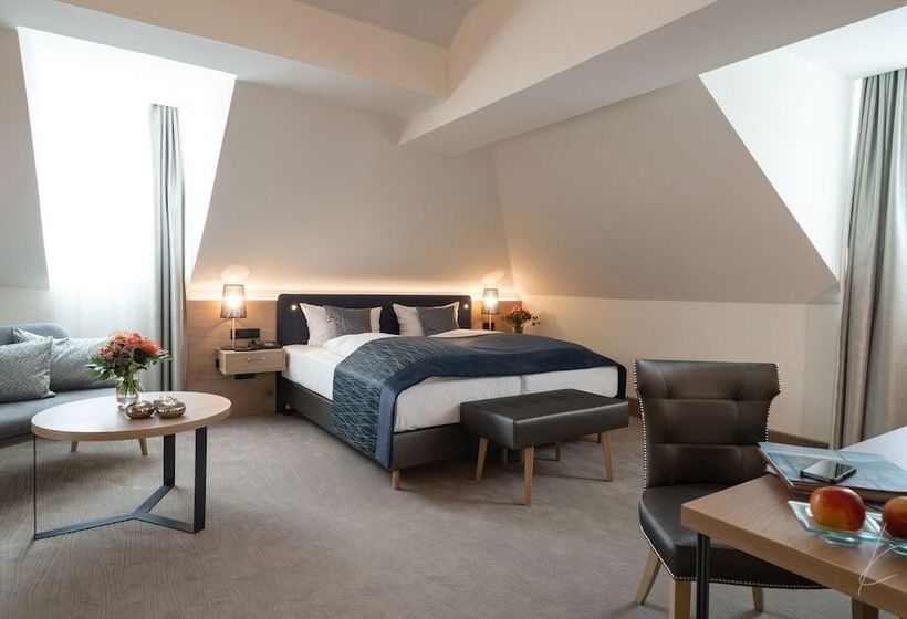 舒适型房间, Romantik Hotel Villa Sayn