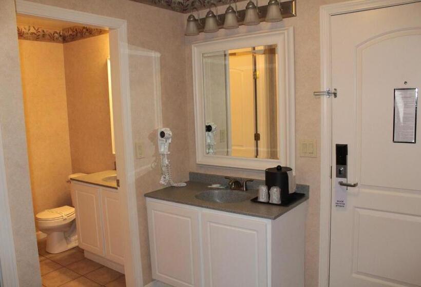 Номер Deluxe Кровать Кинг, Shiretown Inn & Suites
