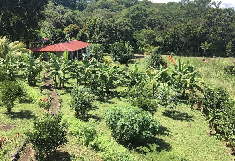 Вилла 1 Спальня, Finca Ometepe