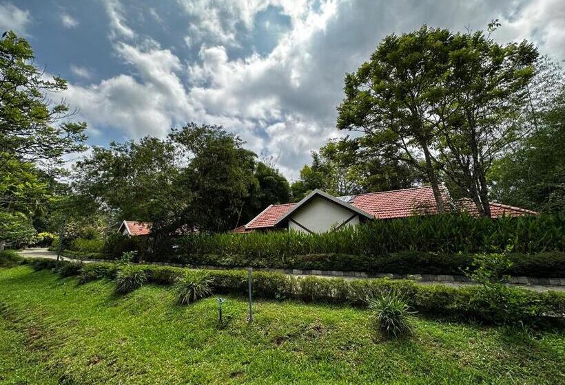豪华房间, Kadkani River Resort