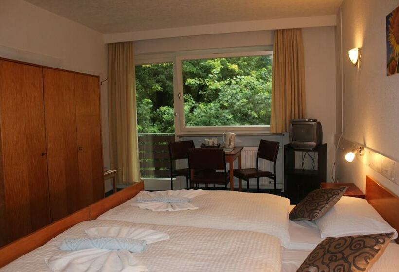 Трежместный Номер Economy, Waldpension Pfeiferhaus