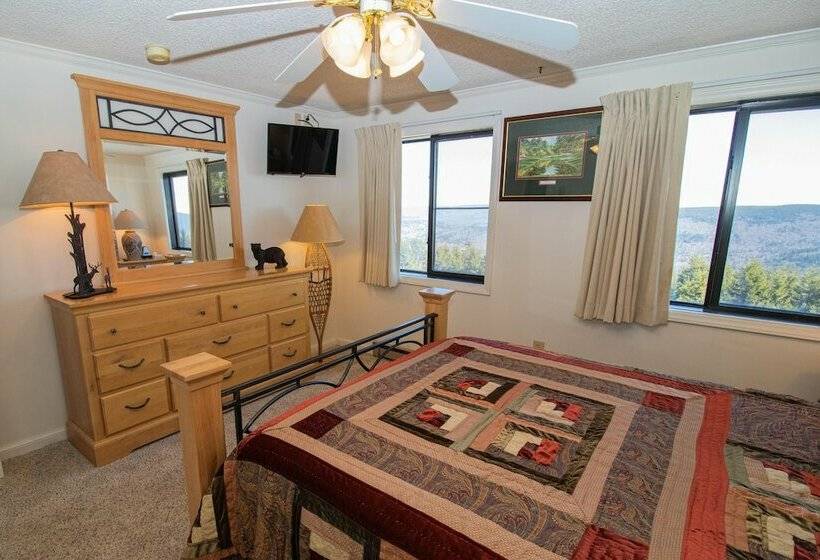 １ベッドルームアパートメント, Mountaintop Condos