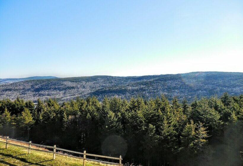 １ベッドルームアパートメント, Mountaintop Condos