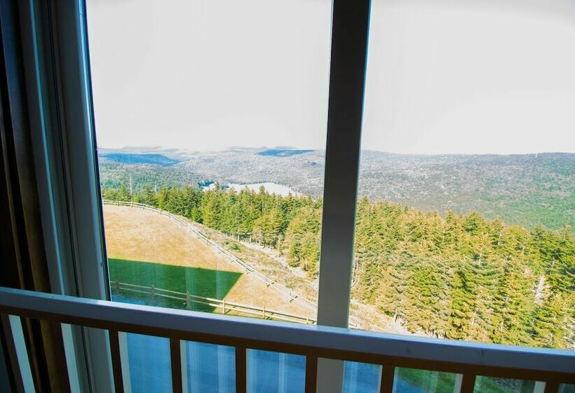 １ベッドルームアパートメント, Mountaintop Condos