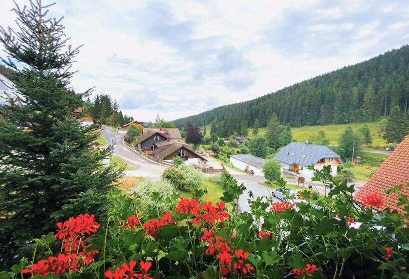 Номер Стандарт, Schwarzwald Hotel Kraeutle
