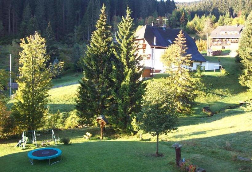 Номер Комфорт, Schwarzwald Hotel Kraeutle