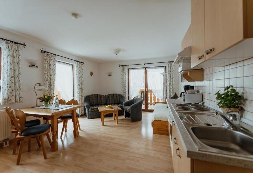 Апартаменты 1 Спальня, Schwarzwald Hotel Kraeutle