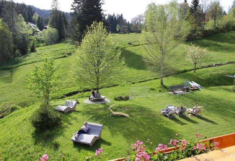 Апартаменты 1 Спальня, Schwarzwald Hotel Kraeutle