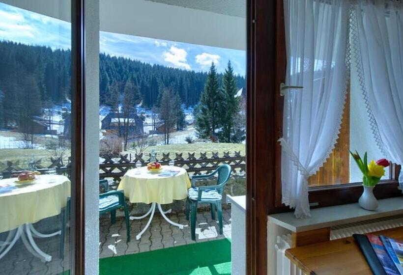 Номер Стандарт, Schwarzwald Hotel Kraeutle