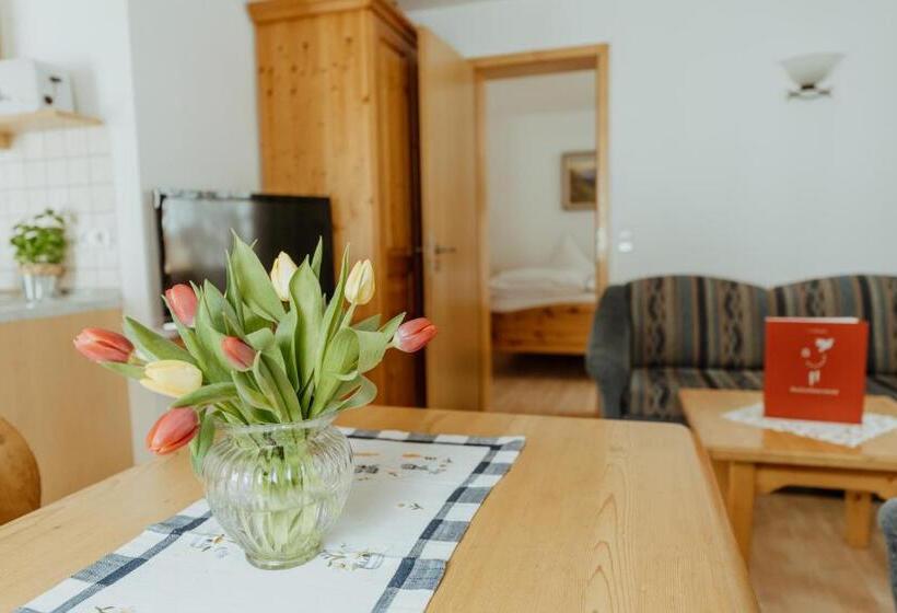 Апартаменты 1 Спальня, Schwarzwald Hotel Kraeutle