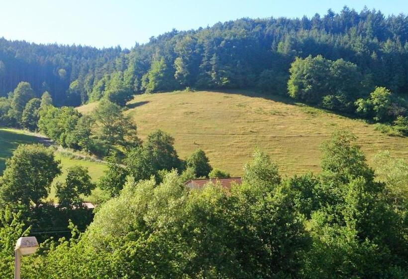 Трехместный Номер Стандарт с Балконом, Gasthof Zur Krone