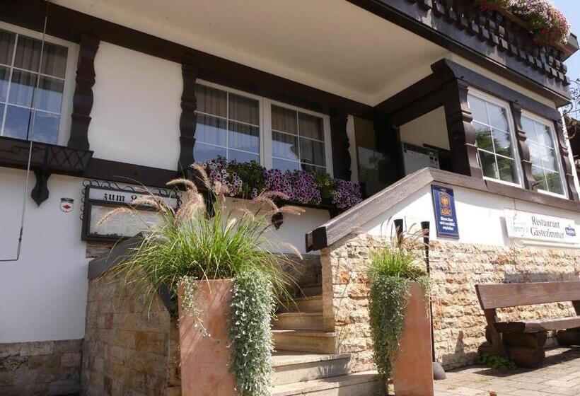 스탠다드 룸, Landhotel Löwen
