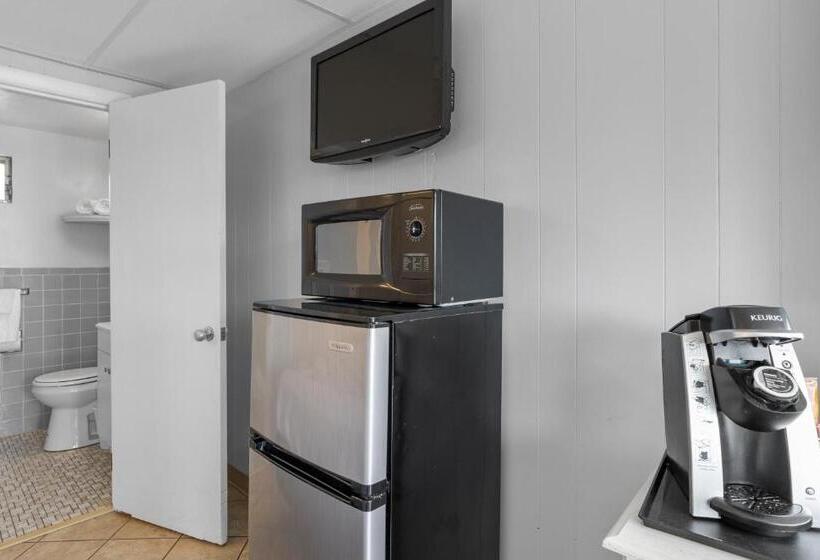 اتاق استاندارد با تخت بزرگ, Mt Royal Motel