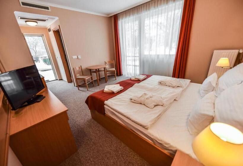 수피리어 테라스 룸, Aqua Hotel Termál