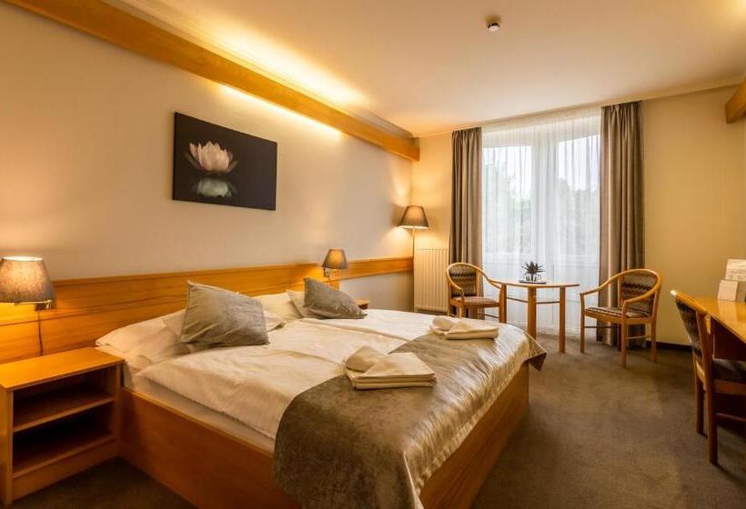 수피리어 룸, Aqua Hotel Termál