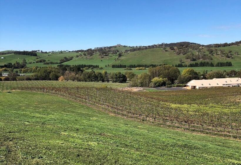 استودیو اجرایی, Turners Vineyard Motel