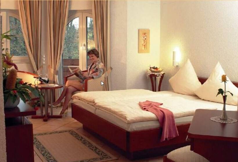Номер Стандарт, Hostellerie Bacher
