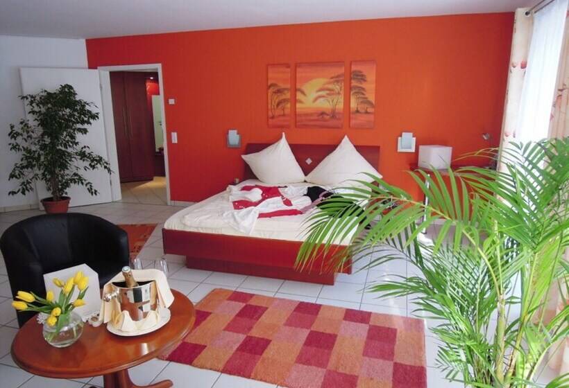 Полулюкс, Hostellerie Bacher