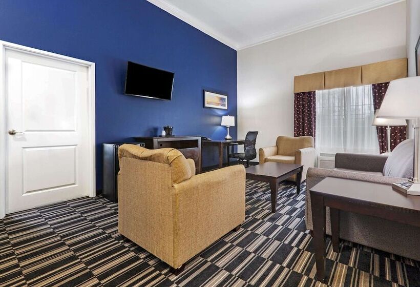סוויטה דלוקס, La Quinta By Wyndham Alvin