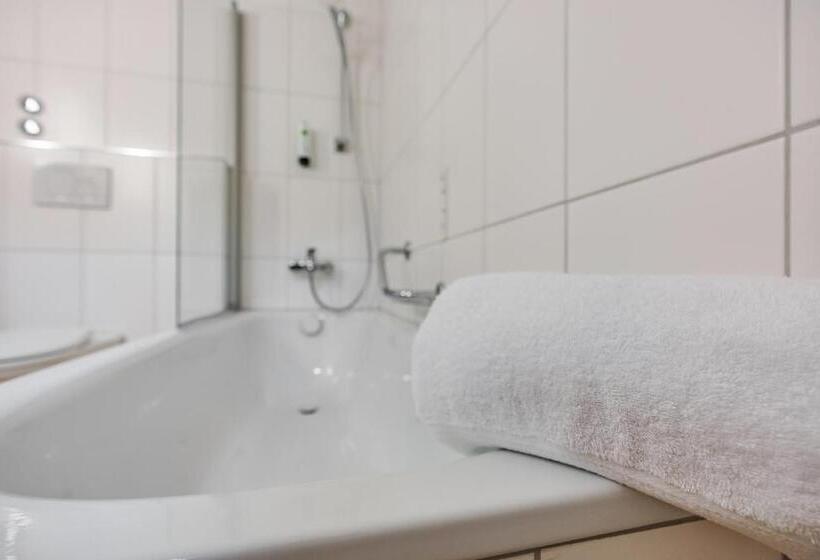 Полулюкс, Flexymotel Wil