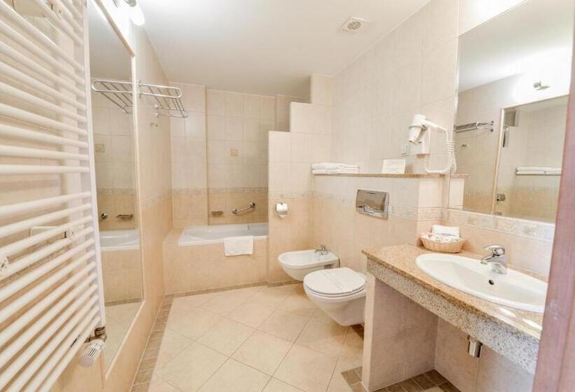 Номер Deluxe, Spa Hotel Jawor