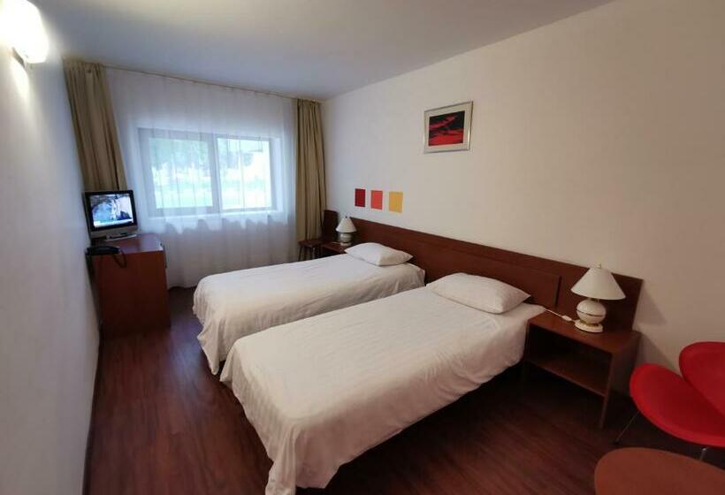 اتاق استاندارد, Timisoara Sannicolau Mare