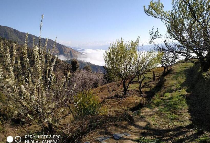 带大床的标准间, In Apple Estate Kanatal   Himalayan View Resort With Courteous Staff