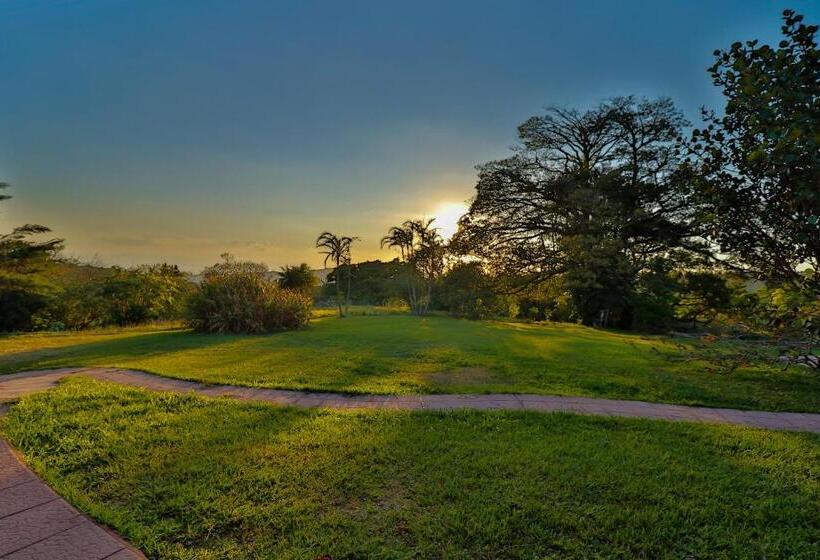 استودیو استاندارد با تخت کینگ, Sunset Monteverde